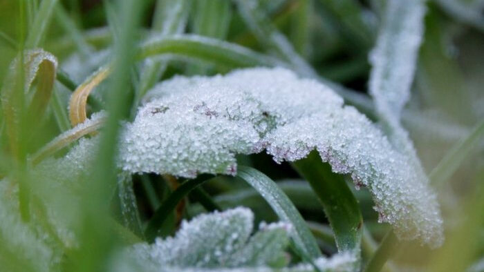 Przymrozek na horyzoncie. IMGW ostrzega
