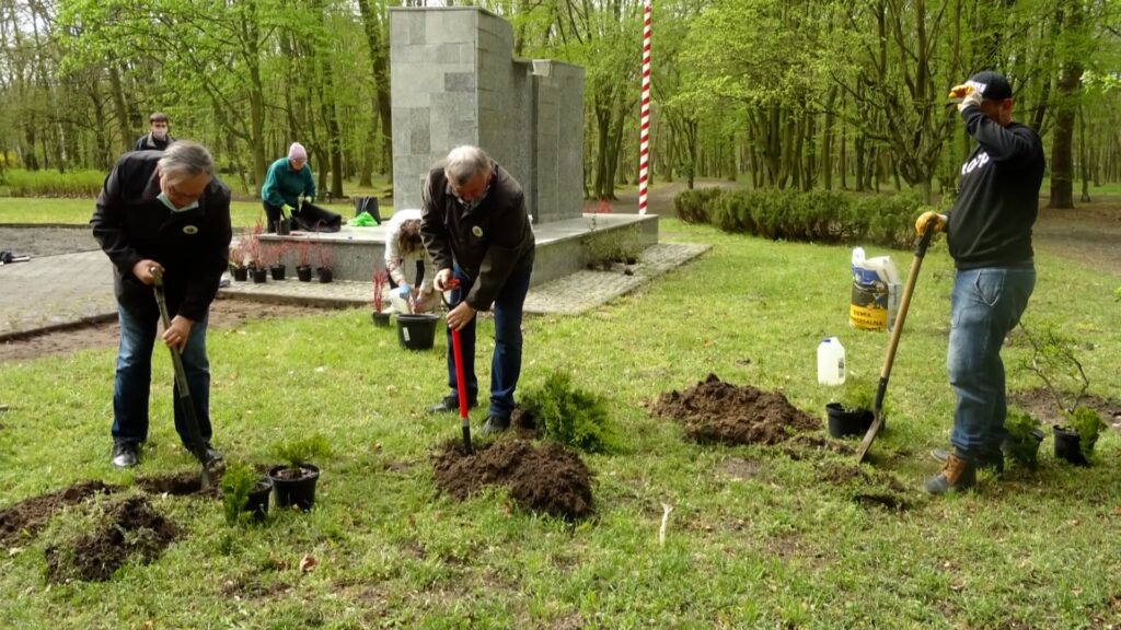 Największy śremski park kończy 133 lata. Społecznicy posadzili nowe drzewa i krzewy