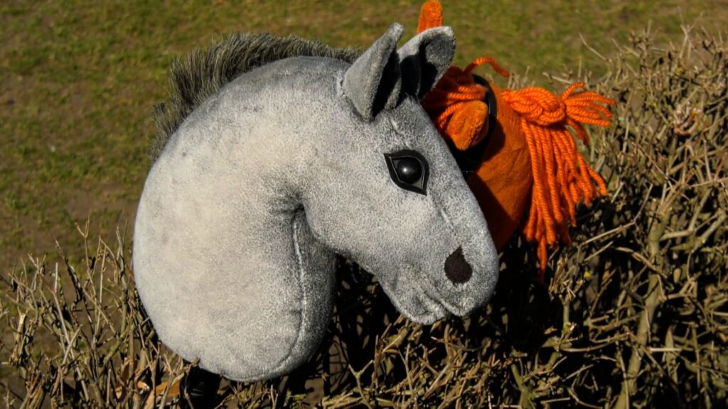 Hobby horse. O co w tym chodzi?