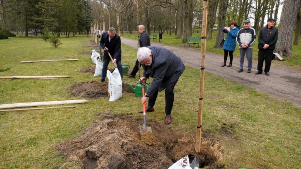 W śremskim parku pojawił się nowy skwer