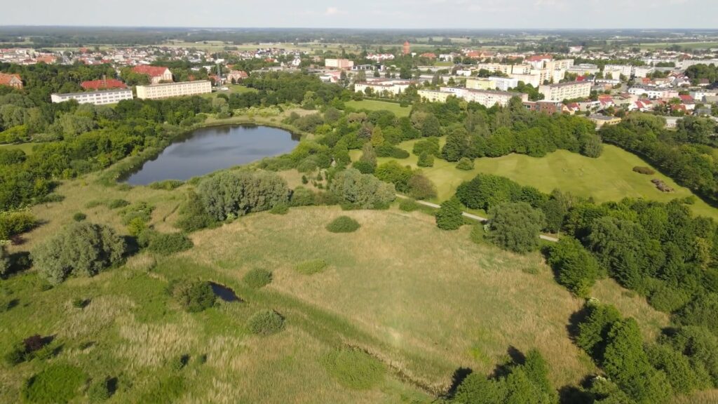 Mniej koszenia w trosce o środowisko