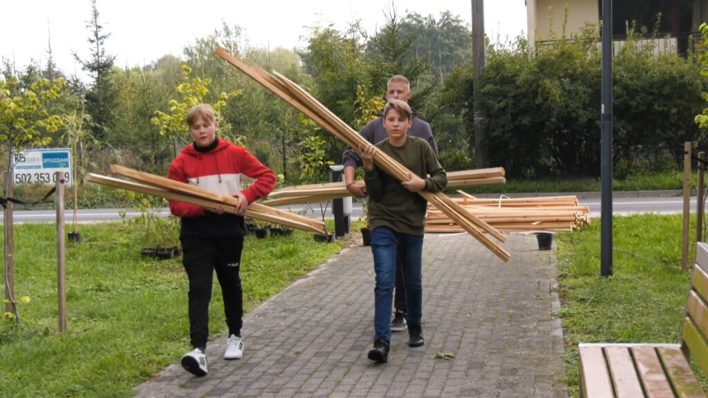 W dolskim parku coraz więcej drzew