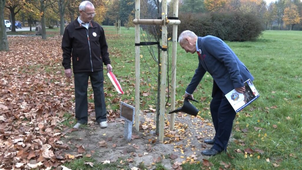Łącznościowcy zasadzili drzewo
