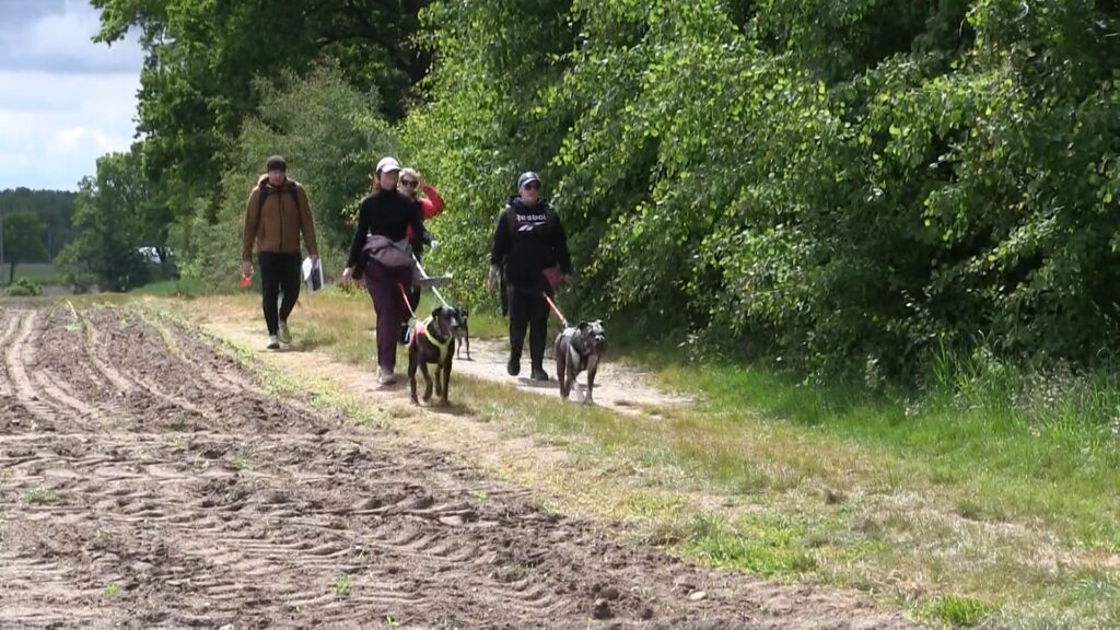 Sport na sześć łap. Dogtrekking w Gaju po raz 4.