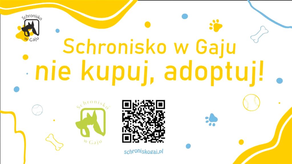 Kwadrans dla psa i kota – odc. 73