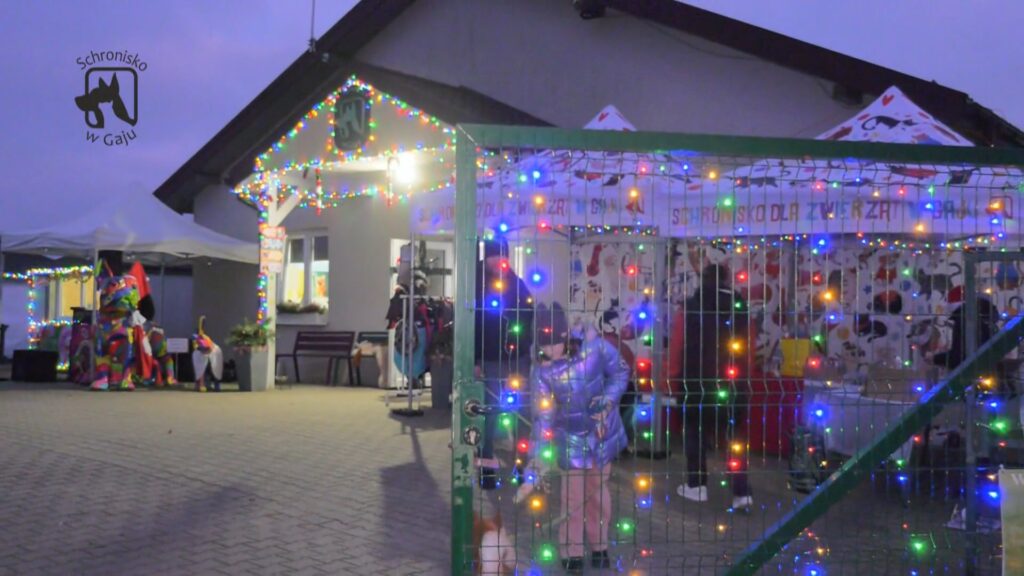 Kwadrans dla psa i kota – odc. 75