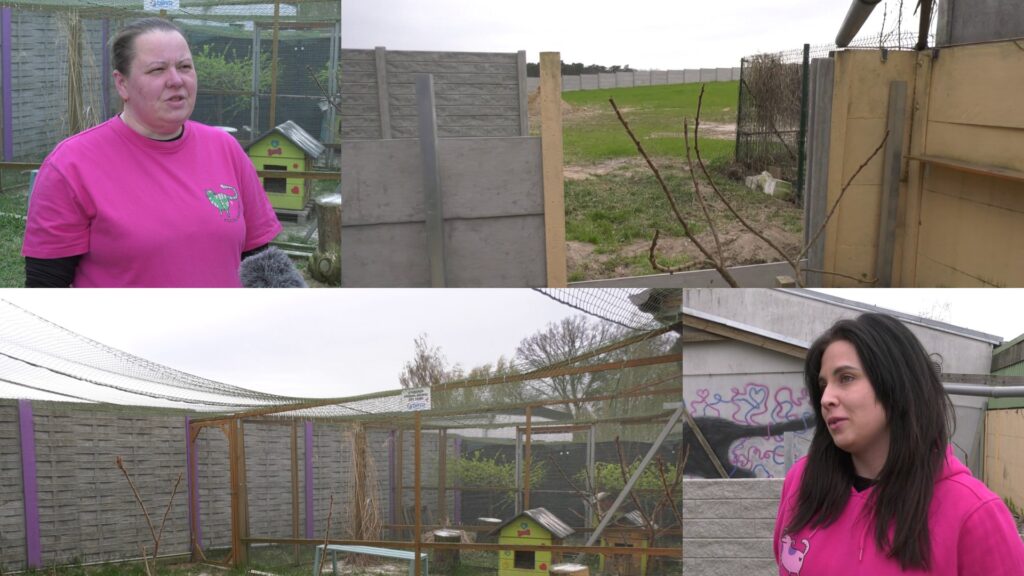 Rozdarte siatki, przewrócone ogrodzenie. Schronisko w Gaju potrzebuje pomocy!